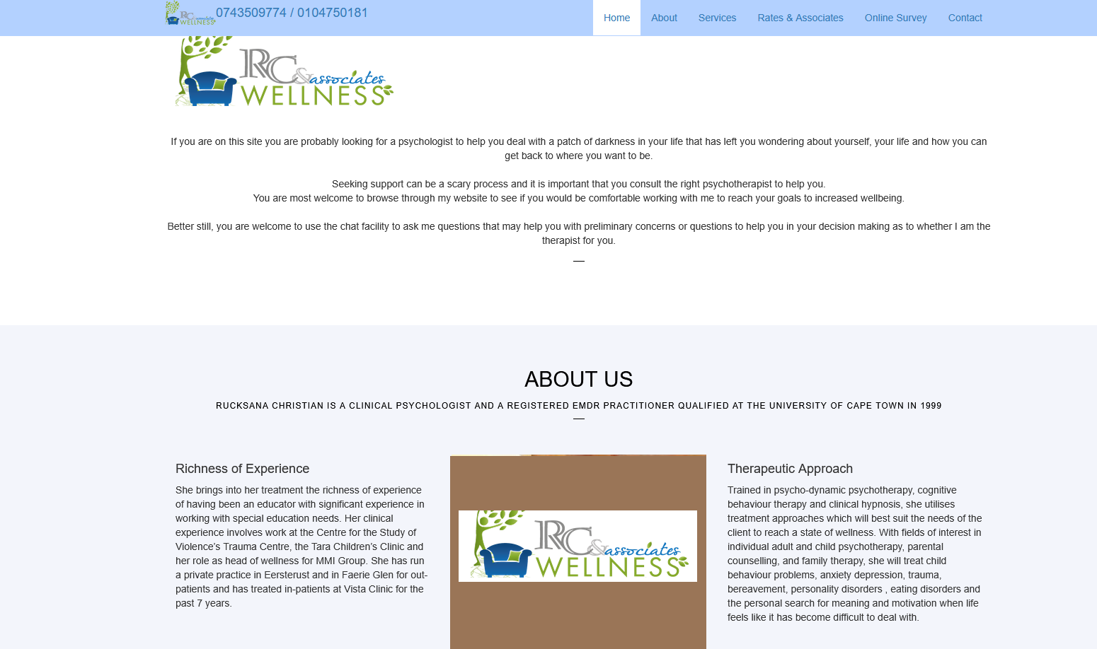 Website before redesign